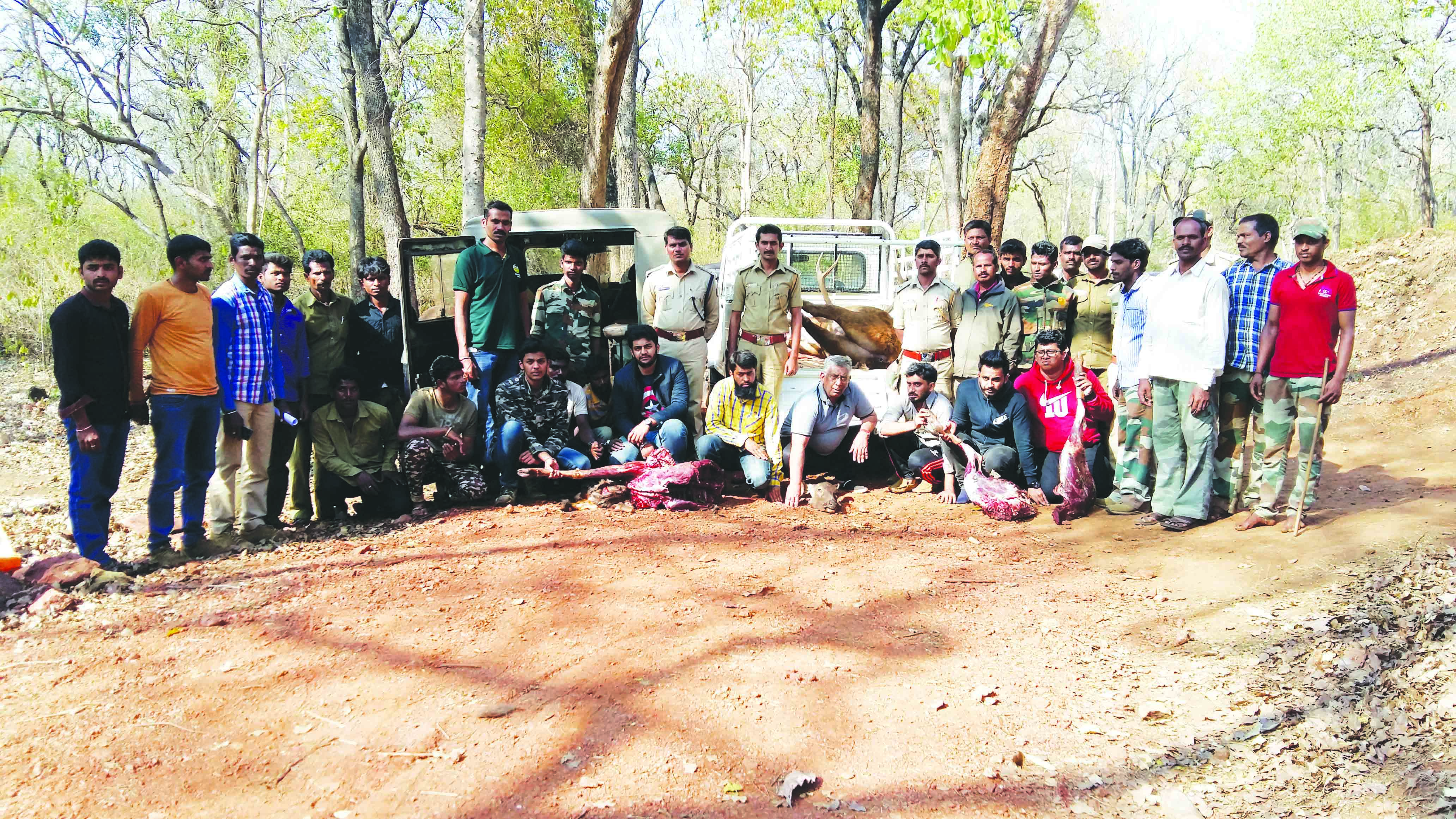 ​ನೆತ್ತಿಚೌಕ ಅರಣ್ಯದಲ್ಲಿ ಕಡವೆಗಳ ಬೆೇಟೆ ಮಾಲು ಸಹಿತ 11 ಆರೋಪಿಗಳ ಬಂಧನ